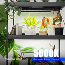 Barrina Plant Grow Lights, 5000K Full Spectrum Daylight White, T5 LED Grow Light Strips, 1ft Growing Lamp with Magnetic Bar, Plant Lights for Indoor Plants, Greenhouse, Black Cover, Linkable, 8 Packs by GreenHaven Gardens
