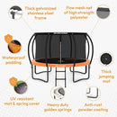 JUMPZYLLA Trampoline Outdoor 8FT 10FT 12FT 14FT 15FT 16FT with Enclosure and Ladder, ASTM Approved Recreational Trampoline for Kids and Adults, Anti-Rust Coated Frame by TinyTreasures Baby Boutique