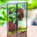 NCYP Front Opening Glass Terrarium with Door for Succulents, Small Plants - Closed Geometric Container Planter, Indoor Tabletop Wall Corner Landscape Decor, Black, 5" x 5" x 9.8" (Terrarium Only) by GreenHaven Gardens