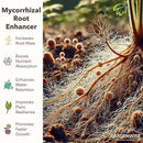 Organic Liquid Plant Food for Indoor Houseplants – All Purpose Fertilizer for Potted Plants, Vegetables, Succulents, Orchids, Roses – Miracle Growth with Mycorrhizae (8 oz) by GreenHaven Gardens