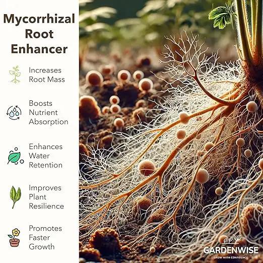 Organic Liquid Plant Food for Indoor Houseplants – All Purpose Fertilizer for Potted Plants, Vegetables, Succulents, Orchids, Roses – Miracle Growth with Mycorrhizae (32 oz), photo 7 of 9