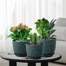 Plant Pots 10/9/8 inch, Set of 3 Modern Decorative Plastic Planters with Drainage Holes and Saucers for Garden House Plants, Flower Pots for Indoor Outdoor Plants, Black with Green Speckles by CozyNest Decor