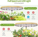 12 Pods Hydroponics Growing System Indoor Herb Garden with LED Growth Lamp Smart Water Pump Plant Germination Kit (No Seeds) Home Kitchen, Gift Ideas for Women Men by GreenHaven Gardens