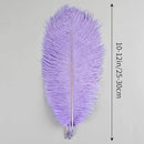 THARAHT Lavender Ostrich Feathers 12pcs Natural Bulk 10-12Inch 25cm-30cm for Crafts Wedding Party Centerpieces Easter Gatsbi and Decoration Feather by CozyNest Decor