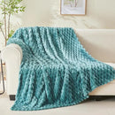 NEWCOSPLAY Super Soft King Blanket Light Teal Premium Silky Flannel Fleece 3D Clouds Stylish Jacquard Lightweight Bed Blanket All Season Use 350GSM (Light Teal, King(90"x110")) by CozyNest Decor
