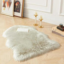 AMTOVO Faux Fur Rug, Light Grey Small Area Rug, Fluffy Sheepskin Rug, Fuzzy Ultra Soft 2 x 3 ft Shag Rugs for Bedroom Sofa Throw Cushion Room Decor, Sheepskin by CozyNest Decor