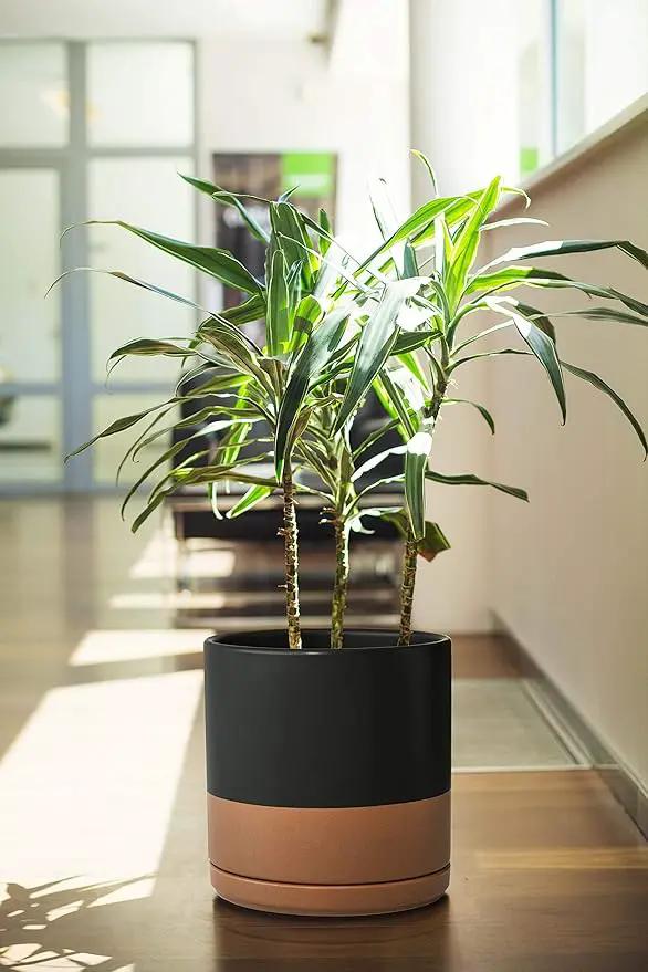 D'vine Dev 10 Inch, Ceramic Planter Pot with Drainage Hole and Saucer, Indoor Cylinder Round Planter Pot, Black/Speckled Tan, 94-O-E-7, photo 2 of 7