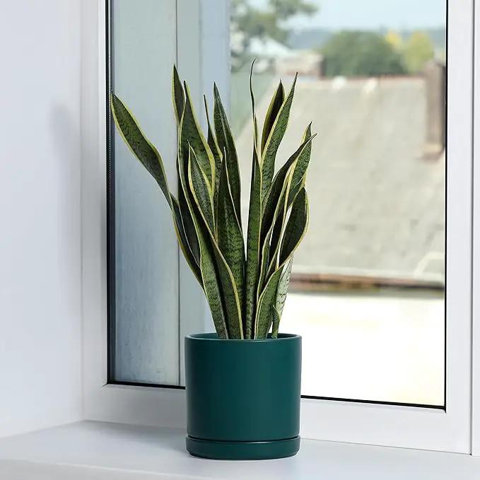 D'vine Dev Set of 2 Plants Pots, 6 Inch Ceramic Planter Pot for Plants with Drainage Hole and Saucer, Teal, 94-V-C-9, photo 7 of 7
