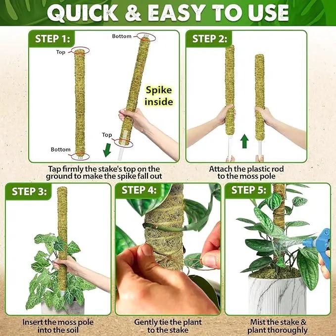 DUSPRO Natural Stackable Moss Pole for Plants Monstera Potted Plant Stakes for Indoor Plants Extendable Plant Pole Moss Sticks for Plants Climbing Vine Supporting Monstera Trellis 10Pcs 22'', photo 7 of 7