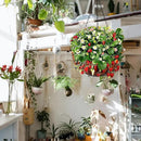 Hanging Baskets for Plants Outdoor(12 inch 4 Pack)- Coconut Coir Hanging Planters Outdoor,Metal Wire Baskets with Coco Liner, Hanging Pots for Plants Indoor, Flower Pots for Railings by CozyNest Decor