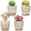 Gepege Succulent Pots, 4 Inch Small Indoor Ceramic Planter Pot with Drainage Holes and Saucers for Plants- Creamy White - Set of 4 by GreenHaven Gardens