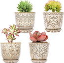 Gepege Succulent Pots, 4 Inch Small Indoor Ceramic Planter Pot with Drainage Holes and Saucers for Plants- Creamy White - Set of 4 by GreenHaven Gardens