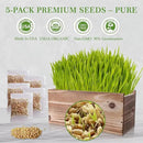 Cat Grass Kit for Indoor Cats - 5X Seed Packets with Handmade Wood Planter | Grow Organic Non-GMO Wheat Grass in 4-7 Days, Aids Digestion & Hairball Control, Ideal Gift for Cat Lovers by GreenHaven Gardens
