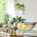 Hanging Planter for Indoor Plants 8 Inch, 2 Pack Self Watering Hanging Baskets for Plants, Hanging Flower Pots with Drainage Hole & 2 Kinds of Plant Hangers for Garden Home Decor (Green, 8 inch) by GreenHaven Gardens