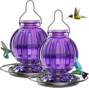 2 Pack Glass Hummingbird Feeder for Outdoors Hanging, Bird Nectar Feeder with Perch & 5 Flower Feeding Ports, 26 Oz Leak Proof for Outside Garden Decor Backyard, Gifts for Women Mom, Purple by GreenHaven Gardens