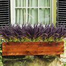 16Pcs Artificial Grass Fake Grass Plants 17.3in Outdoor Plants UV Resistant Faux Greenery Stems for Home Window Garden Patio Pathway Front Porch Halloween Décor Light Green & Purple by GreenHaven Gardens