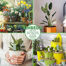 Soil Moisture Meter 4 in 1 for HHCC, Plant Water Monitor, Automatically detects Moisture/Temperature/Light/Fertility, Can Connect to Mobile Phone via Bluetooth, Plants Sensor for Indoor (Green - 1pcs) by GreenHaven Gardens