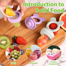 Bessentials Baby Fresh Fruit Food Feeder - 2 Pack Silicone Baby Mesh Feeders for Infant Safe Self Feeding |3 Sizes Food Pouches Included| Suitable for Baby 4m+（ Purple+Misty Green） by TinyTreasures Baby Boutique