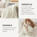 Bedsure GentleSoft Fluffy Cream Blankets Queen Size for Bed, Thick Sherpa Faux Fur Fleece Fuzzy Plush Winter Warm Heavy Soft Full Queen Blankets, Bedroom Decor Cream Gifts Cozy Gifts for Women, 90x90 by CozyNest Decor