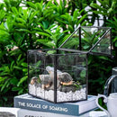 NCYP Black Glass Terrarium with Lid, Indoor Geometric Planter for Cacti, Air Plants, Succulents, Insect, Snail, House Shape Closed Box 7.5" x 4.9" x 9" (No Plant Included) by GreenHaven Gardens
