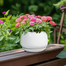 G EPGardening Ceramic Pots for Plants - 6 Inch Planter for Indoor Plants, Flower Pots with Drainage and Ceramic Tray, Modern Office Decor, Gifts for Plant Lovers, White by GreenHaven Gardens