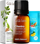 Gya Labs Cilantro Essential Oil for Diffusers - 0.34 Fl Oz - 100% Natural Cilantro Oil for for Skin, Massage, Aromatherapy & Candle Making Scent by CozyNest Decor