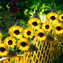Solar Garden Lights, 4 Pack Sunflower Outdoor Lights Solar Flower Lights for Outside with 12 Larger Sunflower Gardening Gift for Mom Women Decorative Lights for Garden Decor Yard Patio Lawn Pathway by GreenHaven Gardens