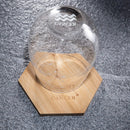 Set of 2 Zodiac Sign Wine Glasses with 2 Wooden Coasters by The Wine Savant - Astrology Drinking Glass Set with Etched Constellation Tumblers for Juice, Water Home Bar Horoscope Gifts 18oz (Cancer)