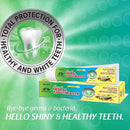 Jagat Devsutra Dr. Recommended Ayurvedic Herbal Fresh Mint Flavour Toothpaste Combo Pack Offer - 100% Natural Teeth Whitening Formula, No Fluoride & No Artificial Colours - Pack of 2 (4.4 OZ Each) by CozyNest Decor