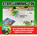 Dissect-It Kit for Kids, Simulated Synthetic Lab Dissection Toy, Frog Super Lab STEM Toys for Animal Science, Biology, and Anatomy by TinyTreasures Baby Boutique