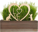 Cat Grass for Indoor Cats Kit – Limited Edition with Decorative Planter, Cat Trellis & Organic Seeds, Free Cat Toy & Catnip Spray for Ultimate Kitty Joy (AW) by GreenHaven Gardens