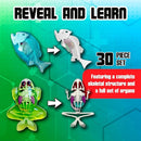 Top Secret Toys Mega Lab Dissect It Kit for Kids, Synthetic Frog and Piranha Dissection Kids Science Kit with Tools, STEM Biology Toys for Ages 6+ by TinyTreasures Baby Boutique