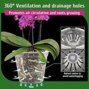 REMIAWY Orchid Pot, 6 Pack Orchid Pots with Holes, 5.5 Inch Clear Plastic Flower Planters for Repotting Indoor Outdoor, Breathable Slotted Nursery Planter by GreenHaven Gardens