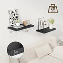 24" Floating Shelves for Wall, 12" Deep Slim Black Floating Shelves, Wall-Mounted Shelves for Bedroom, Living Room, Kitchen, Bathroom - Set of 2 by CozyNest Decor