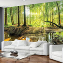 FENDROM Forest Tapestry Wall Hanging Trees Trunk Nature Green Sunlight Wall Tapestry for Livingroom Bedroom Dorm Home Decor by CozyNest Decor