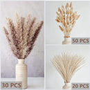 Natural Dried Pampas Grass Decor, Brown Pampas Grass， Bunny Tails Dried Flowers, Reed Grass Bouquet for Wedding Boho Flowers Home Table Decor, Fall Decor，Rustic Farmhouse Party (100 in Total ) by CozyNest Decor