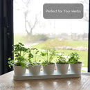SCANDINORDICA White Herb Planter 5 Pots with Drainage Holes and Tray, Windowsill Planter, Indoor/Outdoor Herb Pots by GreenHaven Gardens