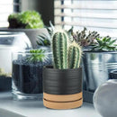 6 Inch Plant Pots, Ceramic Planter Pot with Drainage Hole & Saucer, Indoor/Outdoor Cylinder Round Planter Pot, Matte Black & Brown by CozyNest Decor