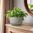 G EPGardening Ceramic Plant Pots - Round 6 Inch Modern Planter with Drainage and Plant Saucer Indoor Outdoor for Flower, Garden Decor, Gifts for Home, Retro Gray by GreenHaven Gardens