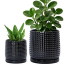 D'vine Dev 6 Inch 4 Inch Ceramic Indoor Planter Pots with Drainage Hole and Saucer, Beaded Design Flower Pots, Set of 2, Gloss Black, 27-D-U-2 by GreenHaven Gardens