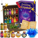 AMIZEY Fairy Potion Kit for Kids with Crystal Growing Toy - 20 Bottles - Gifts for Girls Ages 6-12 by TinyTreasures Baby Boutique