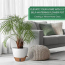 montresor 12/10/8 Inch Self Watering Pots for Indoor Plants Plastic Large Pot for Outdoor Plants, Water Level Window & Spacious Reservoir Flower Pots Decorative Planter with Drainage and Tray (White) by CozyNest Decor