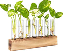 KAXYEW Plant Terrarium with Wooden Stand, Plant Propagation Tubes, 7 Test Tubes Glass Planter for Hydroponic Plant Cuttings Home Office Décor by GreenHaven Gardens