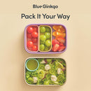 BLUE GINKGO Silicone Lunch Box Set – Durable Heavy-Duty Silicone Bento Box, Microwave, Freezer, Dishwasher Safe – Airtight, BPA Free (Made in Korea, Grey) by TinyTreasures Baby Boutique