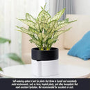 Phoenix Vine 6.5 Inch Self-Watering Planter Pot with Terracotta Insert, Deep Water Reservoir, and Ceramic-Alike BPA-Free Plastic Pot for Plant, Modern Planter for Houseplants, White/Black, 53-B-S-4 by CozyNest Decor