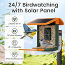 Smart Bird Feeder with Camera, Seamlessly Integrated Solar Panel Birdwatching Camera with SD Card, Lifetime Free AI Identify Bird Species&Auto Video Capture, House Warming Gifts with Greeting Card by CozyNest Decor