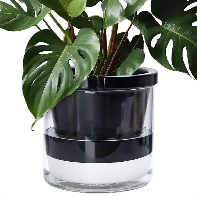 D'vine Dev 10 Inch Design Self Watering Planter for Indoor Plants, Black Terracotta Pot with Cylinder Glass Cup, 37-X-D-3