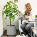 Vego garden Self Watering Pots Home Planters with Water Gauge for Effortless Indoor Plants Fog Gray by GreenHaven Gardens