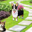 Concepts Welsh Corgi Dog Planter Plant Pots,Cute Garden Dog Flower Planter,Dog Planters Birthday Gifts for Women,Office,Indoor/Outdoor Decor （9.45 * 5.51 * 13.35in） by GreenHaven Gardens