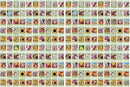 Black Duck Brand Set of 200 Flower Seed Packets! Flower Seeds in Bulk - Best Value Seeds - Great for Classrooms, Beginner Gardeners and Kids! - Deluxe Varieties! (200) by GreenHaven Gardens
